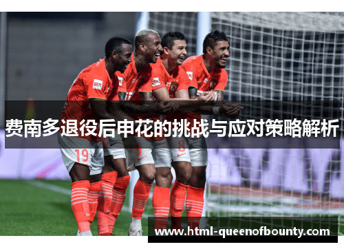 费南多退役后申花的挑战与应对策略解析