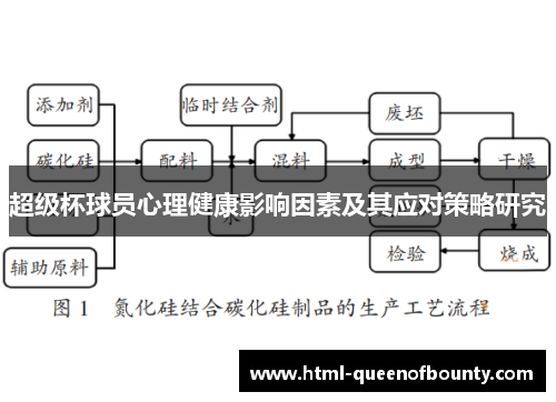 超级杯球员心理健康影响因素及其应对策略研究
