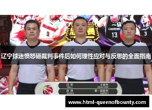 辽宁球迷愤怒砸裁判事件后如何理性应对与反思的全面指南