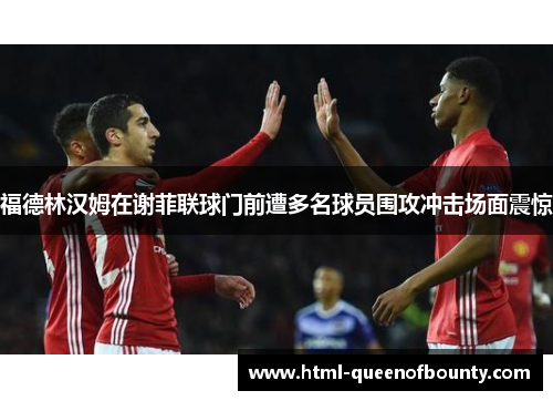 福德林汉姆在谢菲联球门前遭多名球员围攻冲击场面震惊