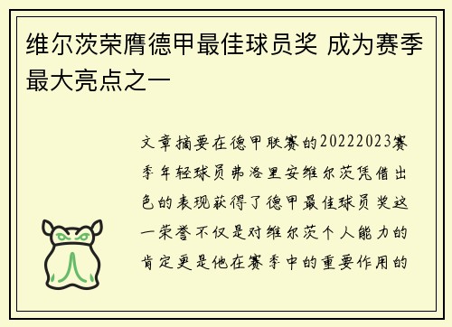 维尔茨荣膺德甲最佳球员奖 成为赛季最大亮点之一